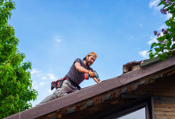 Steel Roofing